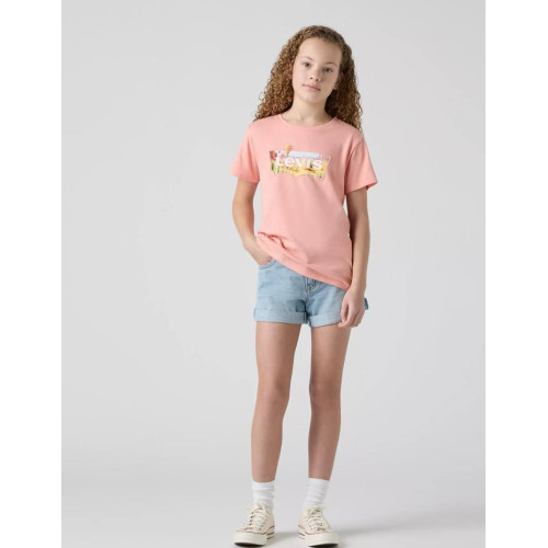 tshirt air balloon levis pr25