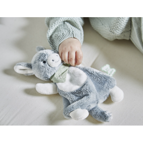 doudou anon regliss