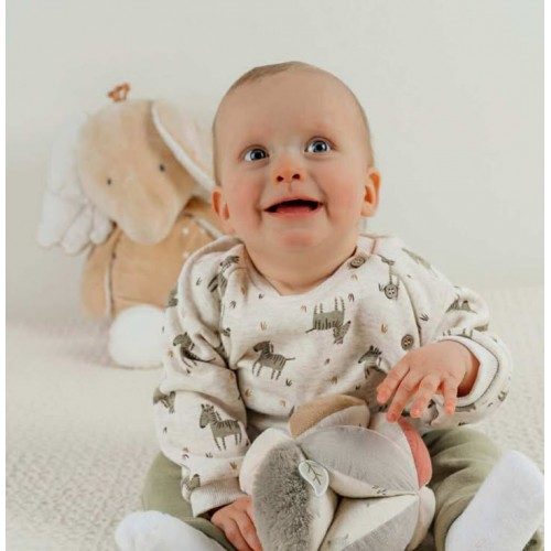 ensemble pantalon zebra et25