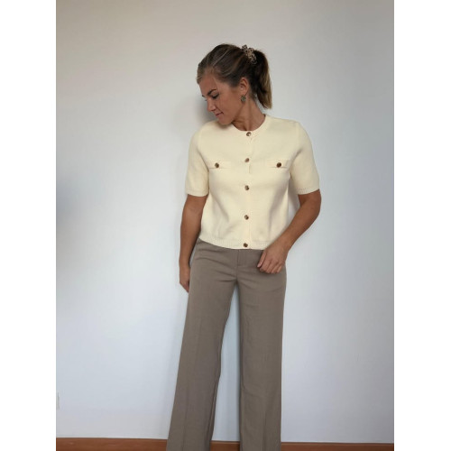 chino vs taupe 9002 at25