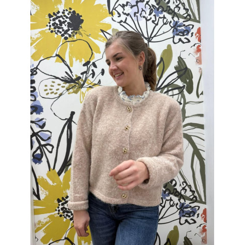 gilet hector taupe pr26