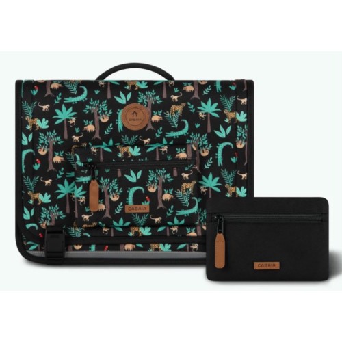 New cartacle discover M...