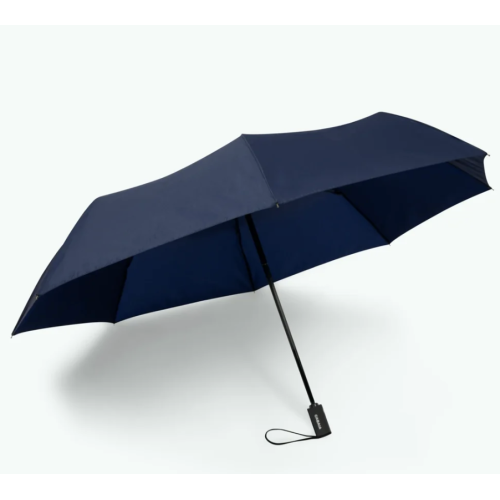 Parapluie Reykjavik